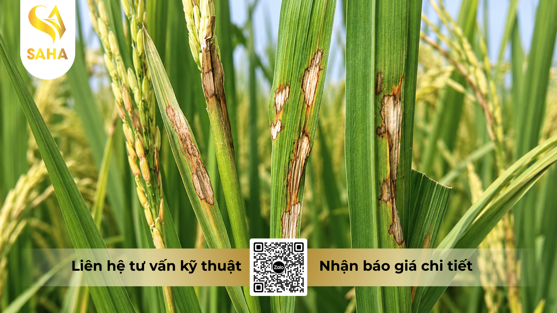 cong-dung-cua-thuoc-tru-benh-hakivil-5sc-hieu-hanivil-500.png