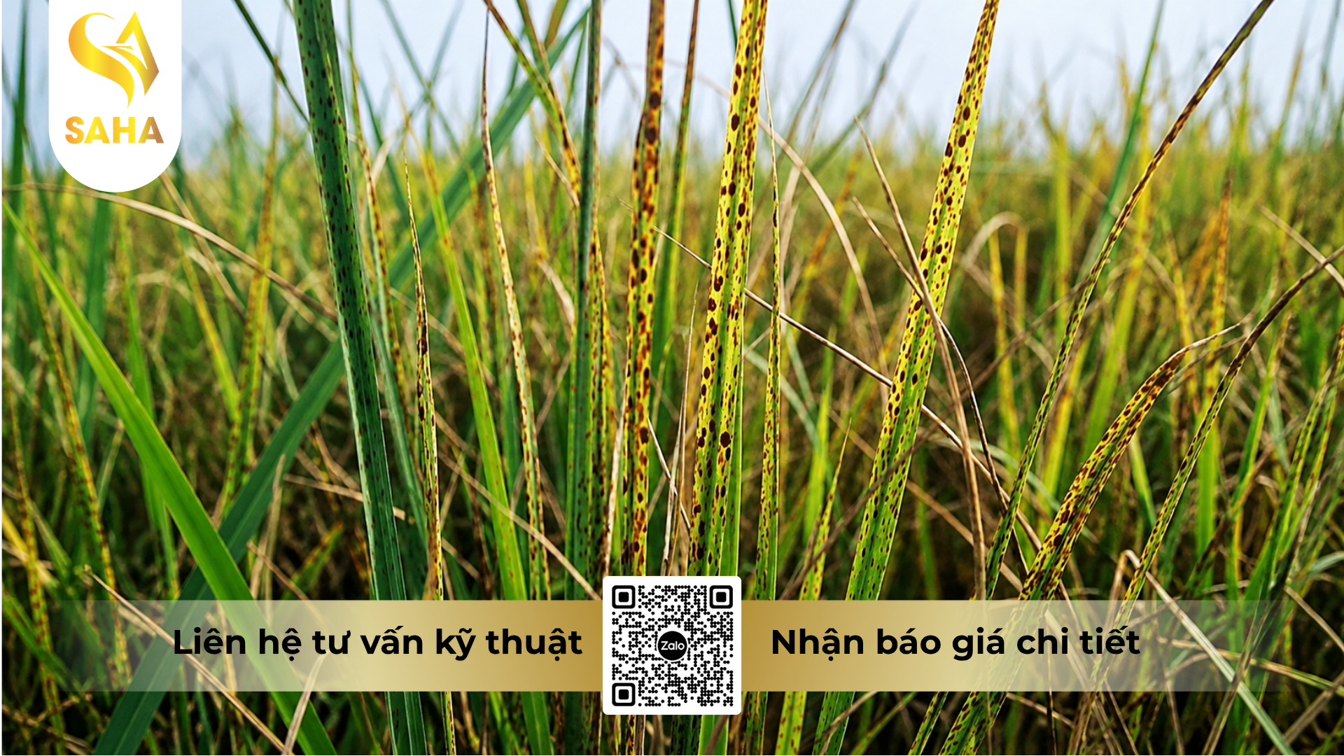 cong-dung-cua-thuoc-tru-benh-hakivil-5sc-hieu-nivinex-500.png