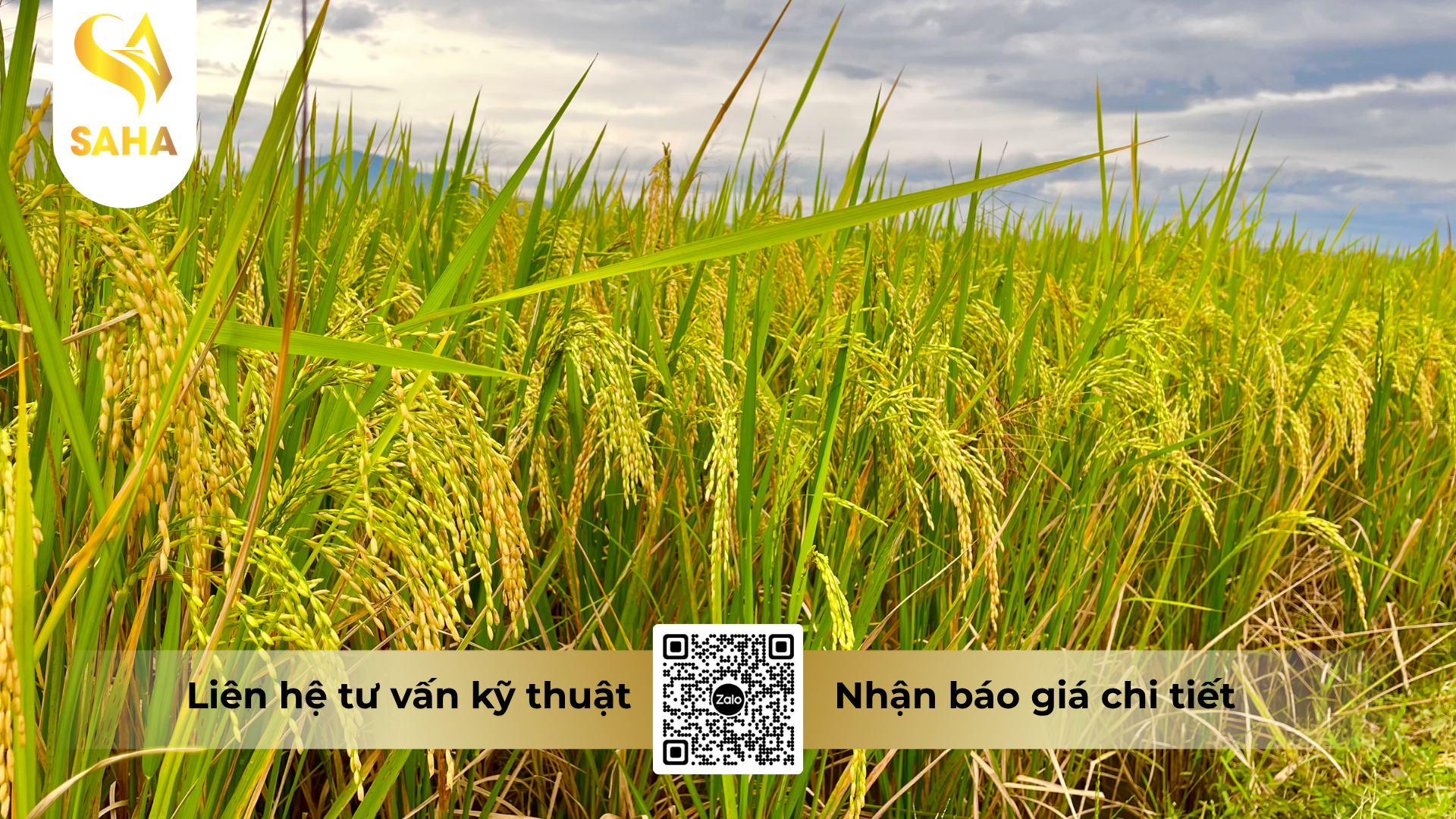 cau-hoi-thuong-gap-ve-thuoc-tru-benh-hakivil-5sc-hieu-nivinex-500.png