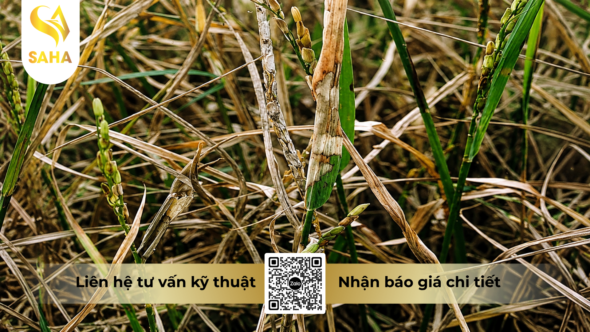 cong-dung-cua-thuoc-tru-benh-hakivil-5sc-hieu-nivinex-500.png