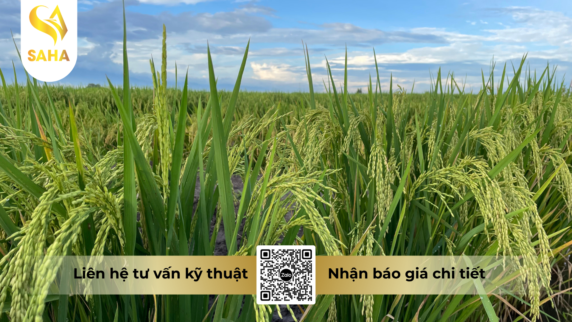cau-hoi-thuong-gap-ve-thuoc-tru-benh-hakivil-5sc-hieu-nivinex-500.png