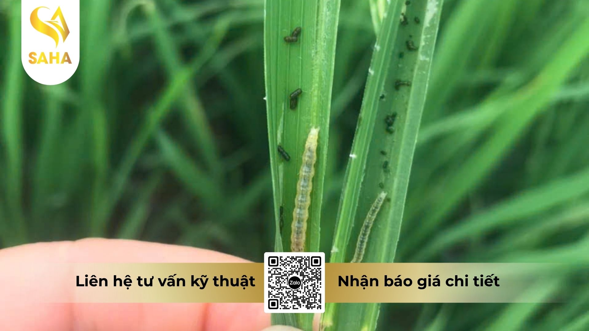 cong-dung-thuoc-tru-sau-amagong-55wp.jpg
