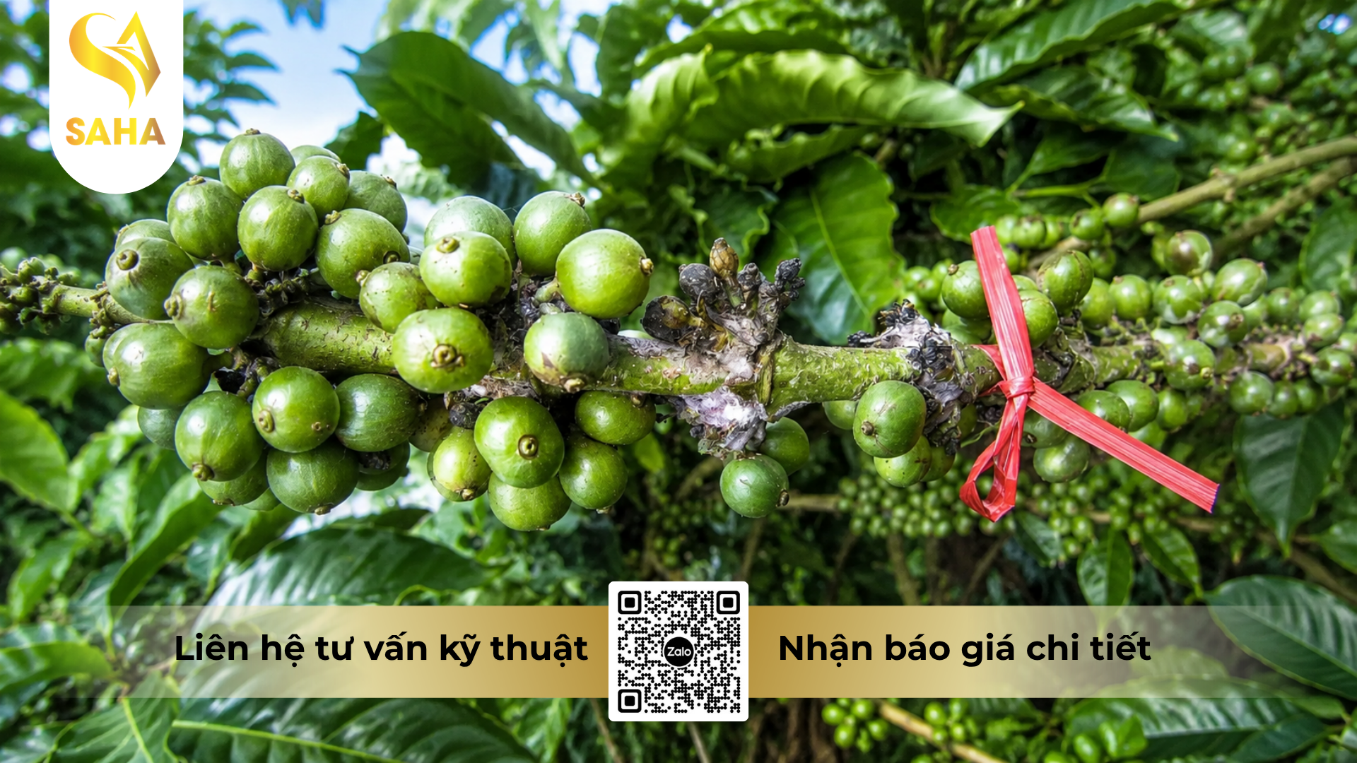 cong-dung-cua-thuoc-tru-benh-hexausa-10sc-hieu-hexa-guard-one.png