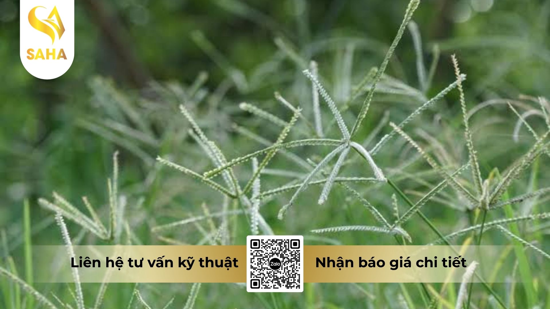 cong-dung-thuoc-tru-co-amegro-150sl.jpg