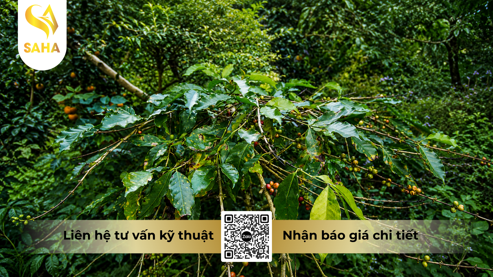 cong-dung-cua-thuoc-tru-benh-hoanganhvil-50sc-hieu-hecadi.png