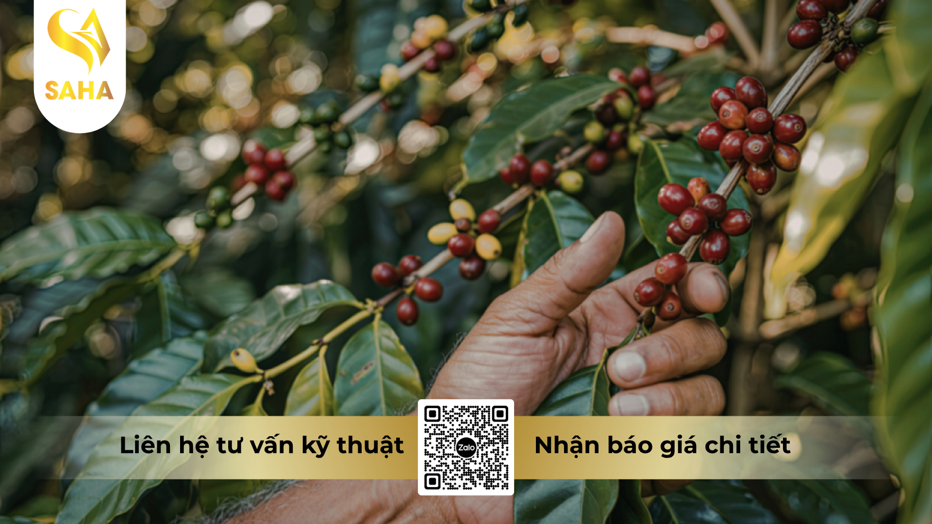 cau-hoi-thuong-gap-ve-thuoc-tru-benh-hoanganhvil-50sc-hieu-hecadi.png