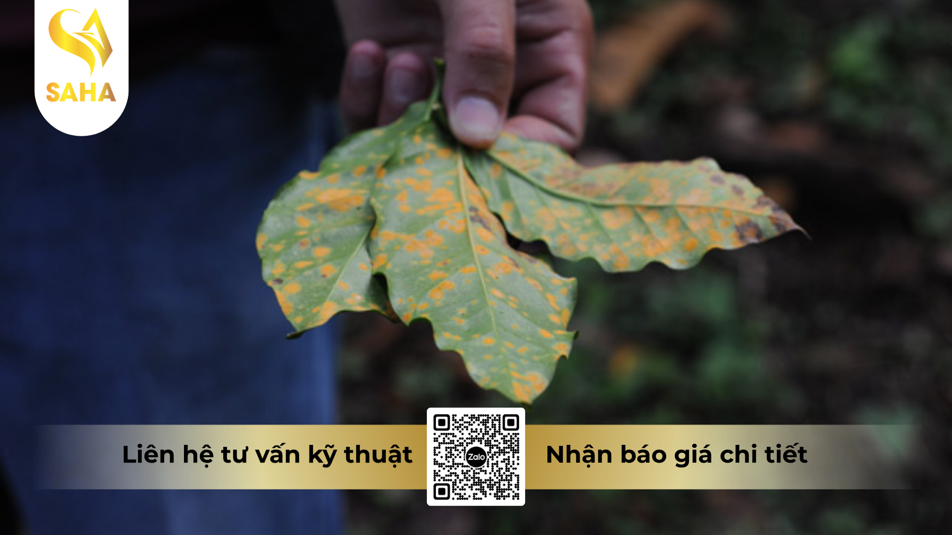 cong-dung-cua-thuoc-tru-benh-hoanganhvil-50sc-hieu-hecadin-30l.png