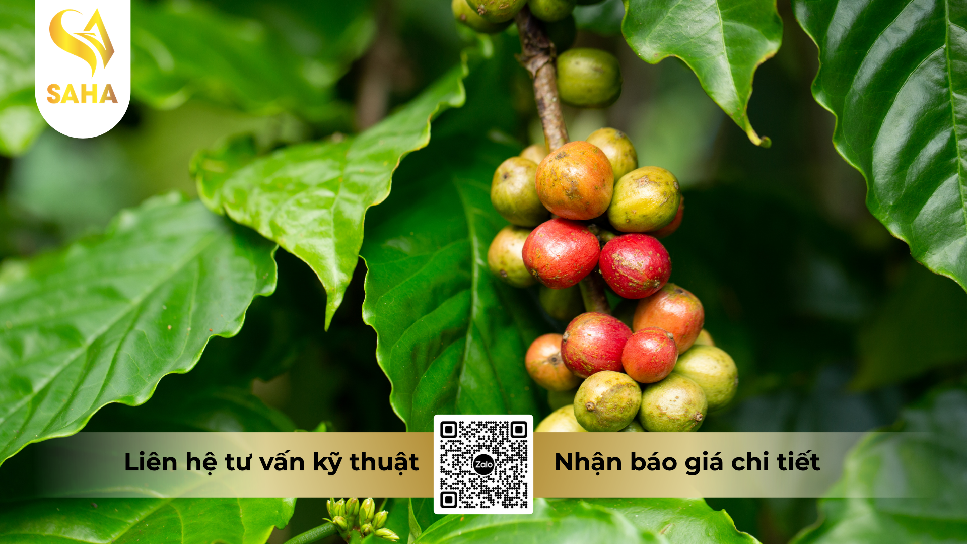cau-hoi-thuong-gap-ve-thuoc-tru-benh-hoanganhvil-50sc-hieu-hecadin-30l.png
