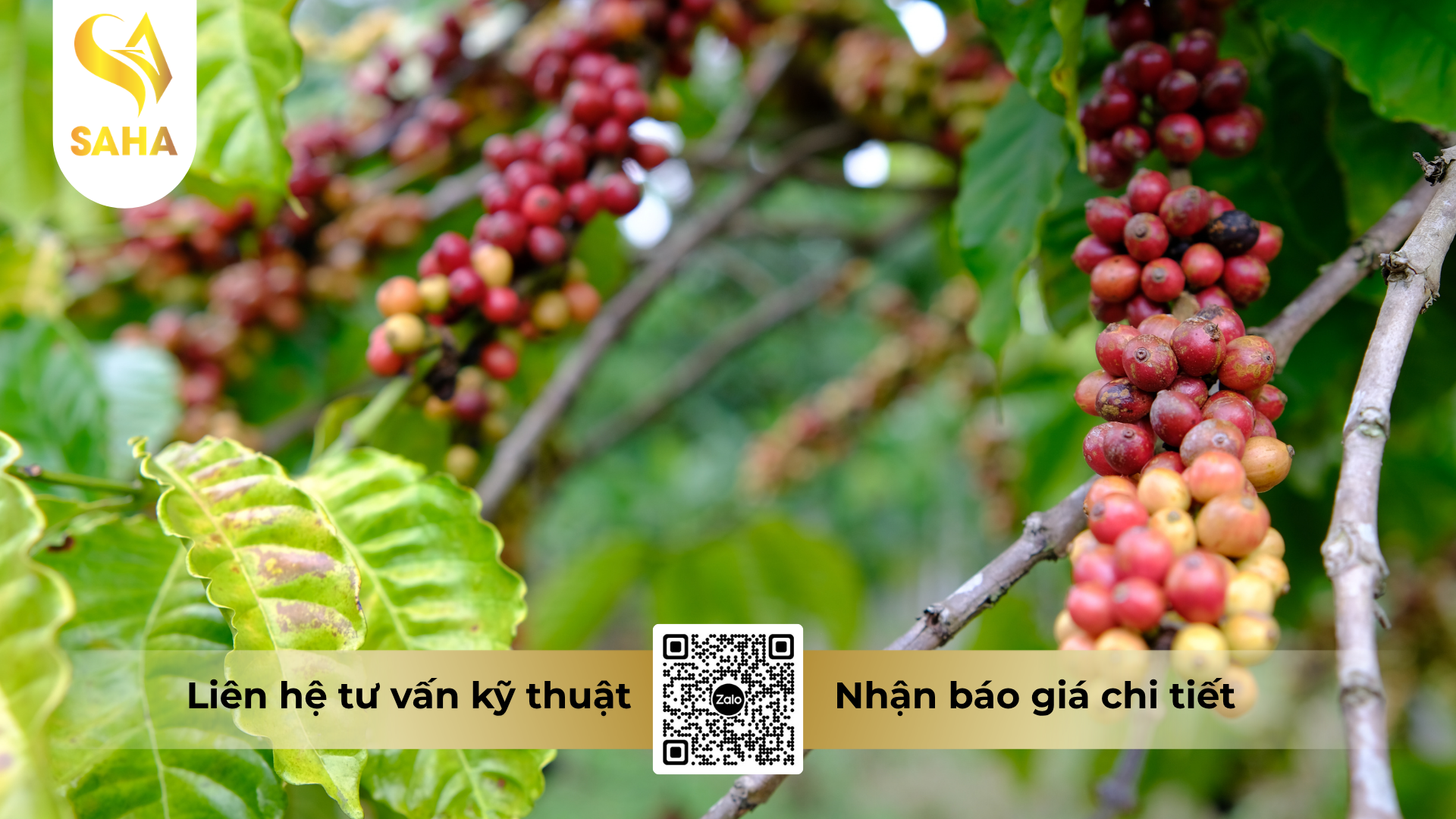 cau-hoi-thuong-gap-ve-thuoc-tru-benh-hoanganhvil-50sc-hieu-hexamax-120.png