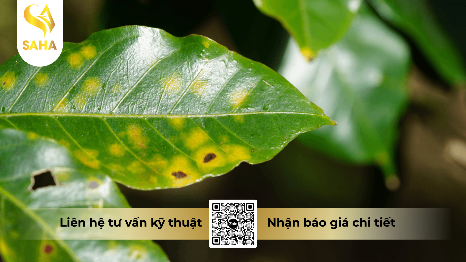 cong-dung-cua-thuoc-tru-benh-hoanganhvil-50sc-hieu-hexamax-120.png