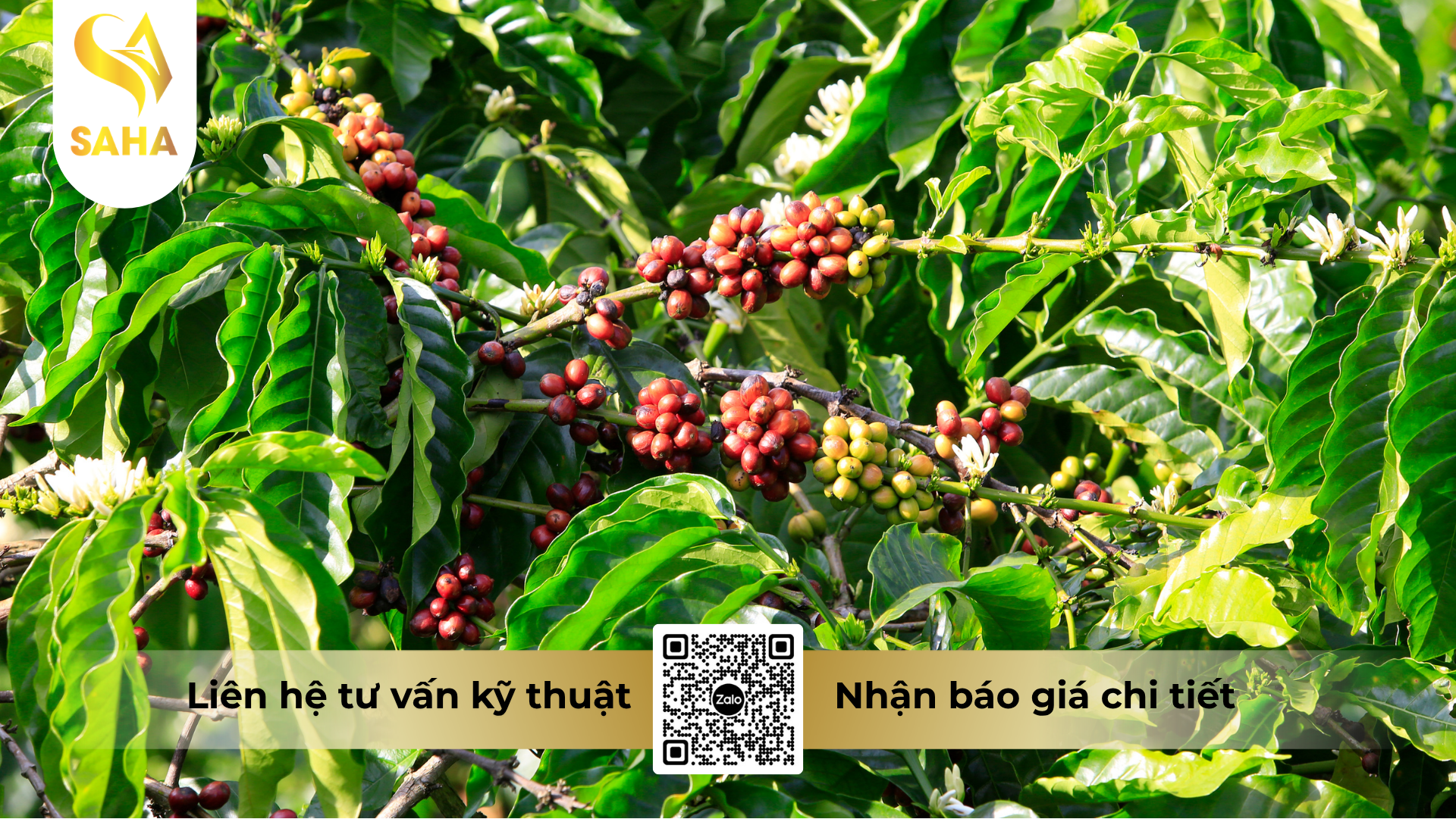 cau-hoi-thuong-gap-ve-thuoc-tru-benh-hoanganhvil-50sc-hieu-indiavin-500.png