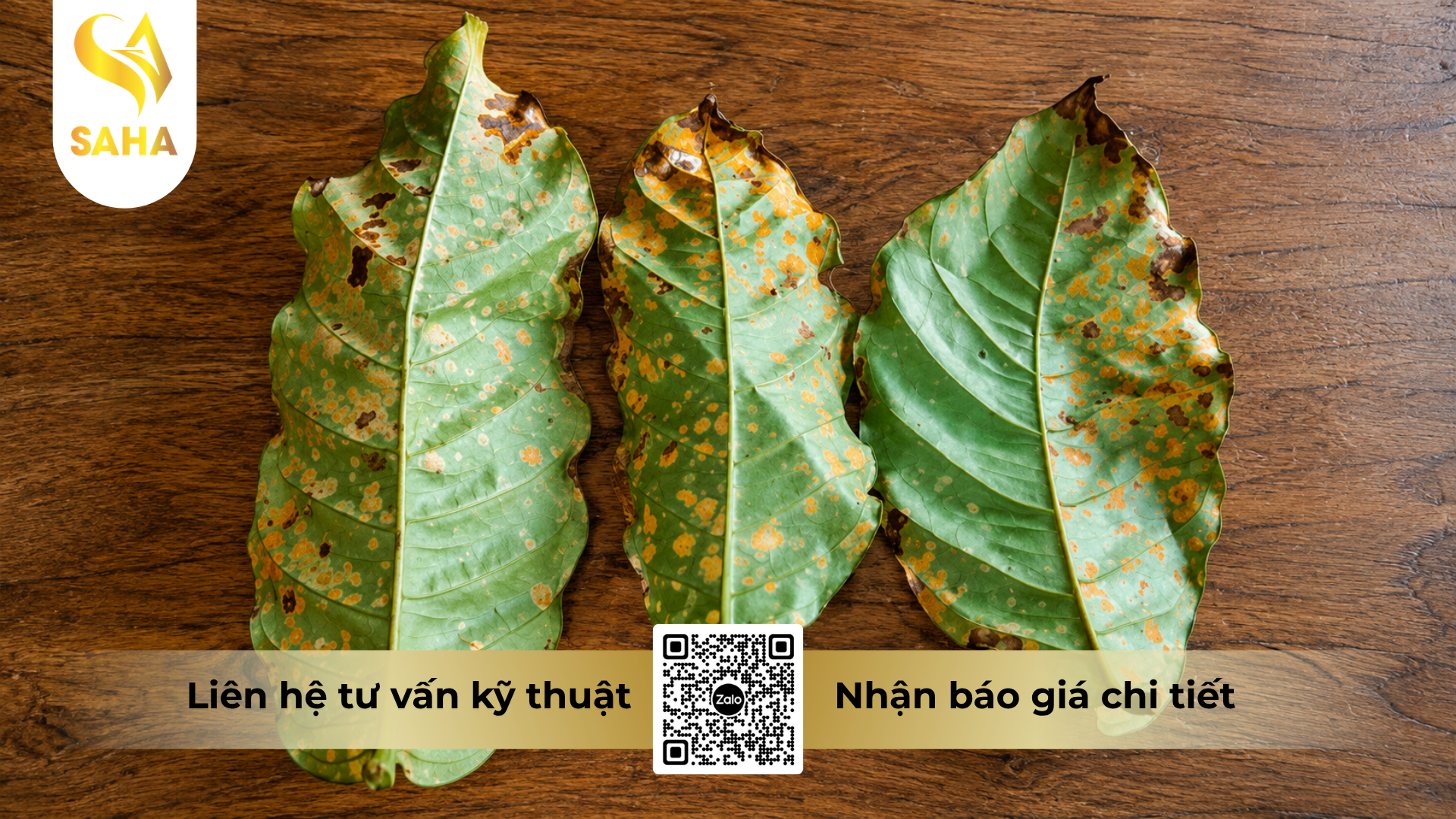 cong-dung-cua-thuoc-tru-benh-hoanganhvil-50sc-hieu-indiavin-500.png