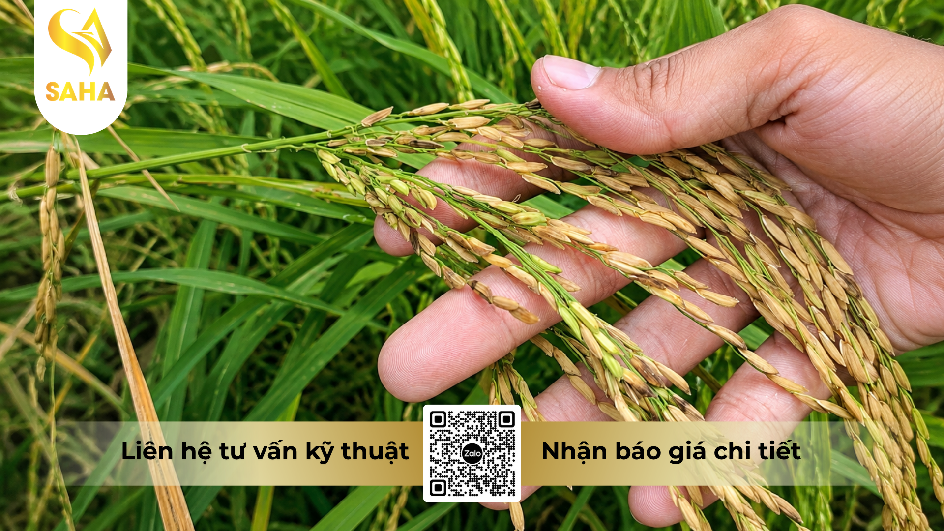 cong-dung-cua-thuoc-tru-benh-japa-vil-110sc-hieu-hexafull-110.png