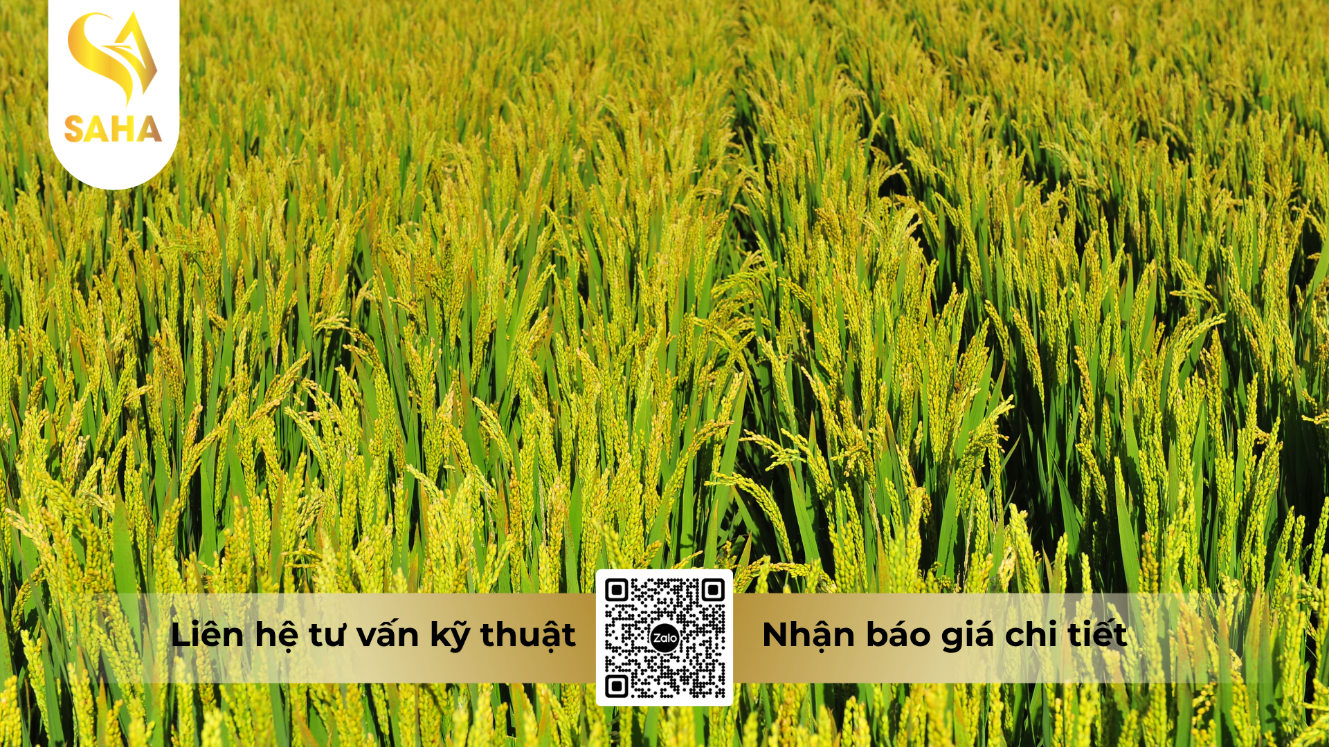 cau-hoi-thuong-gap-ve-thuoc-tru-benh-japa-vil-110sc-hieu-hexarix.png