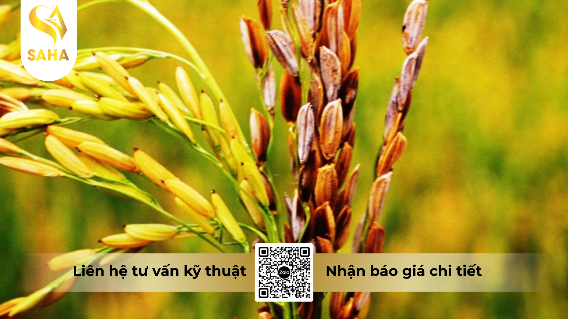 cong-dung-cua-thuoc-tru-benh-japa-vil-110sc-hieu-hexarix.png