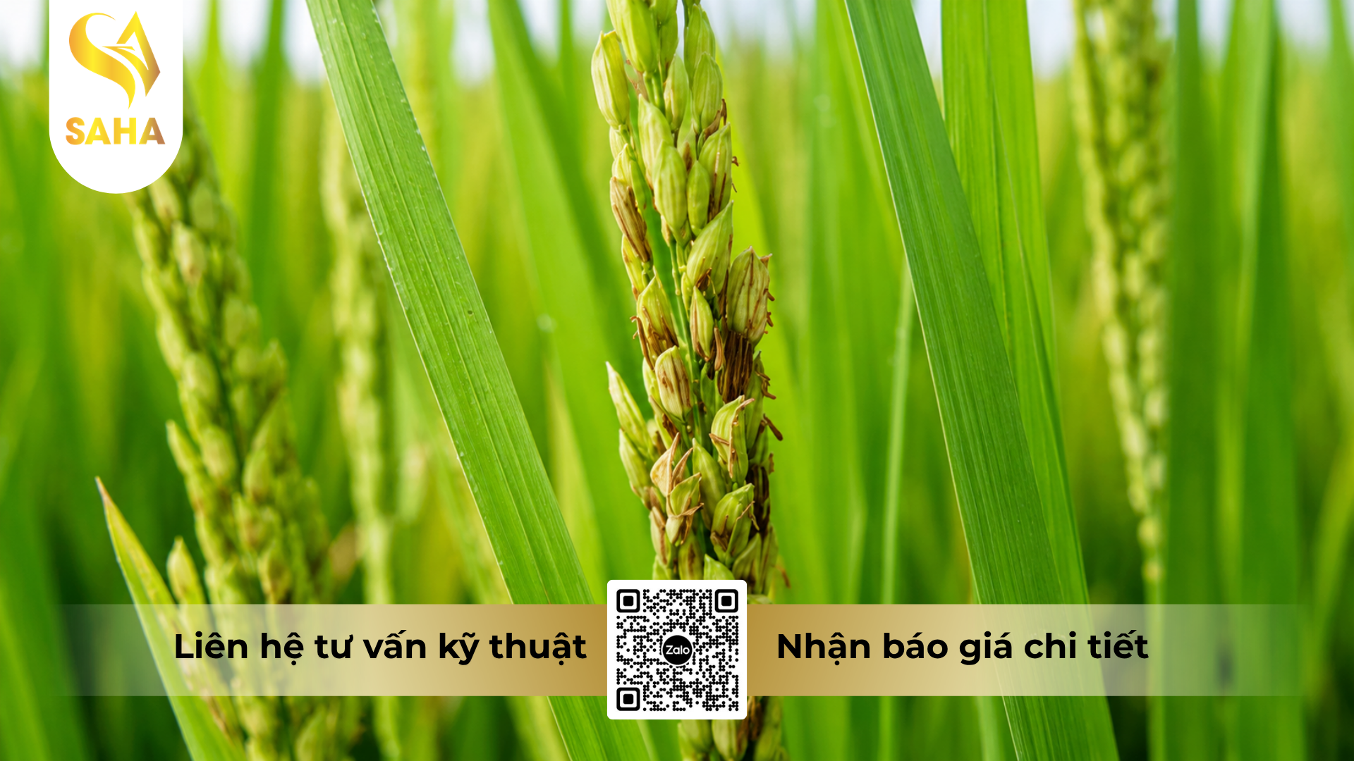 cong-dung-cua-thuoc-tru-benh-japa-vil-110sc-hieu-hexacona-110.png