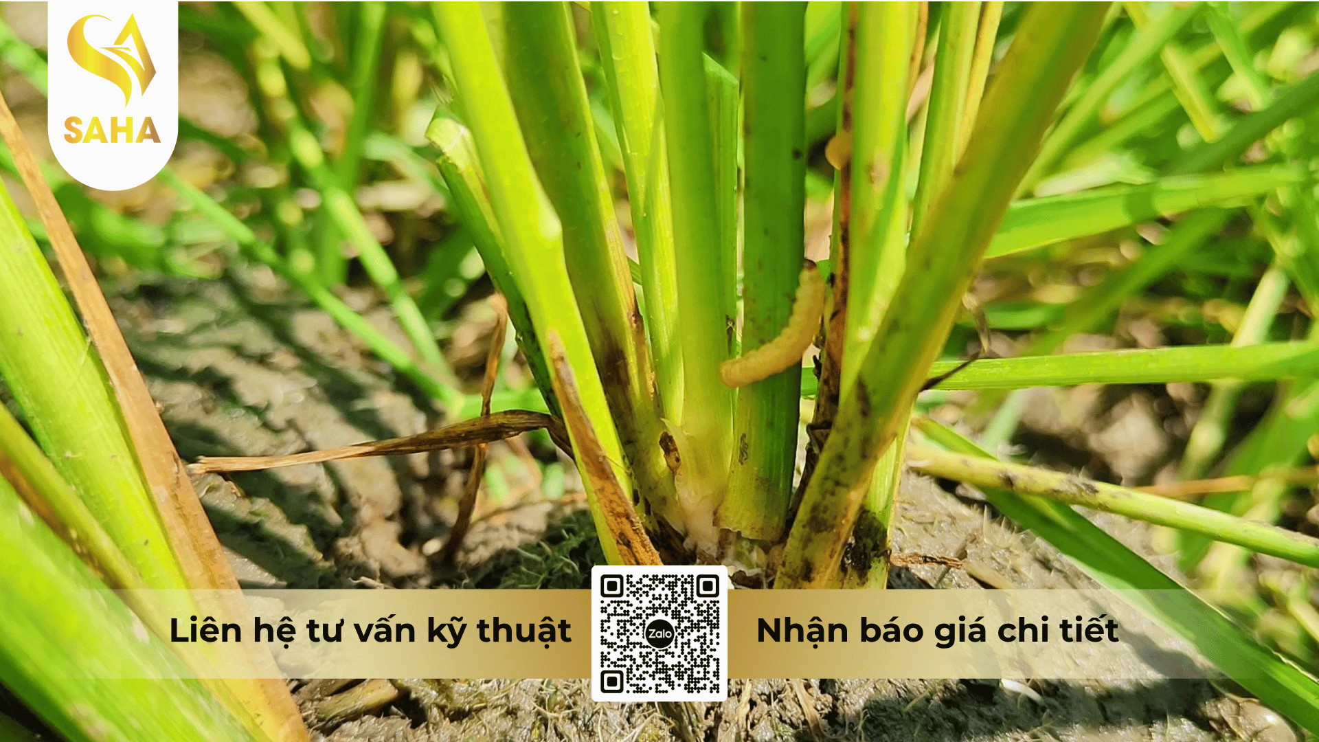 cong-dung-thuoc-tru-sau-ametin-annong-5-55ec.png