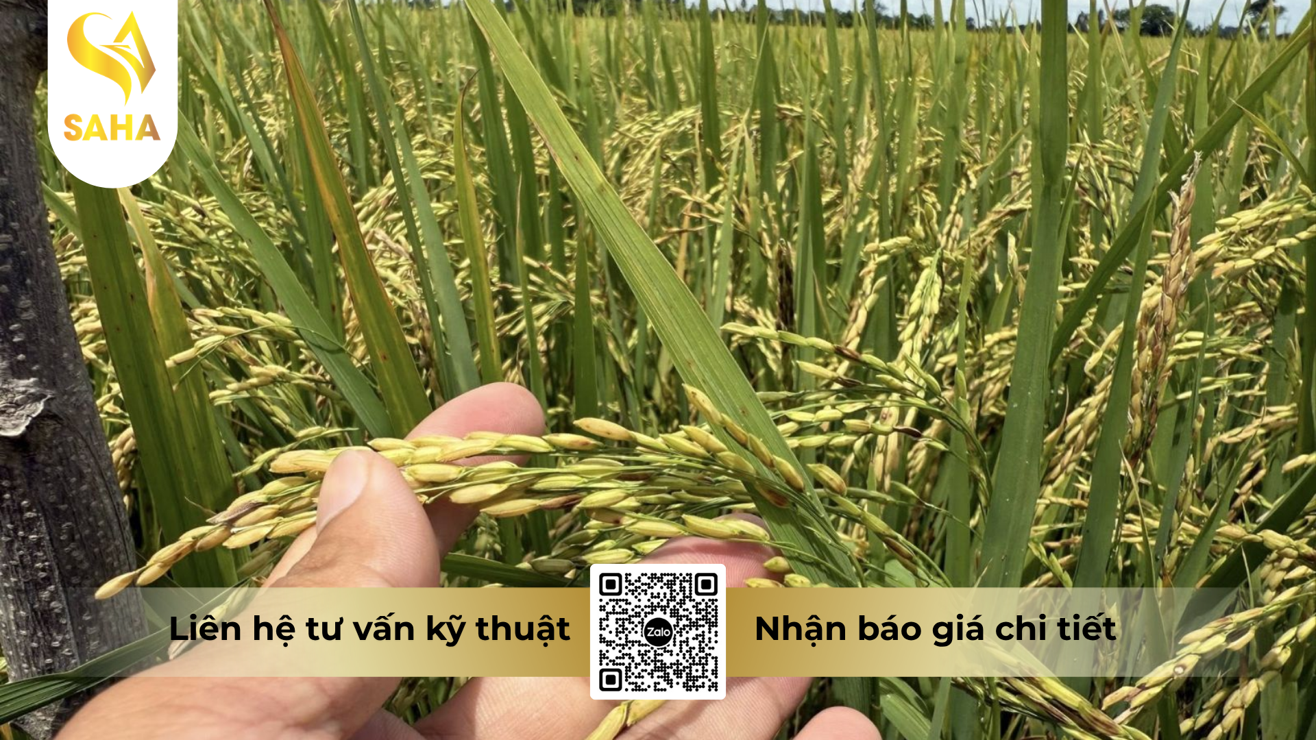 cong-dung-cua-thuoc-tru-benh-japa-vil-110sc-hieu-hexafull-110-30l.png