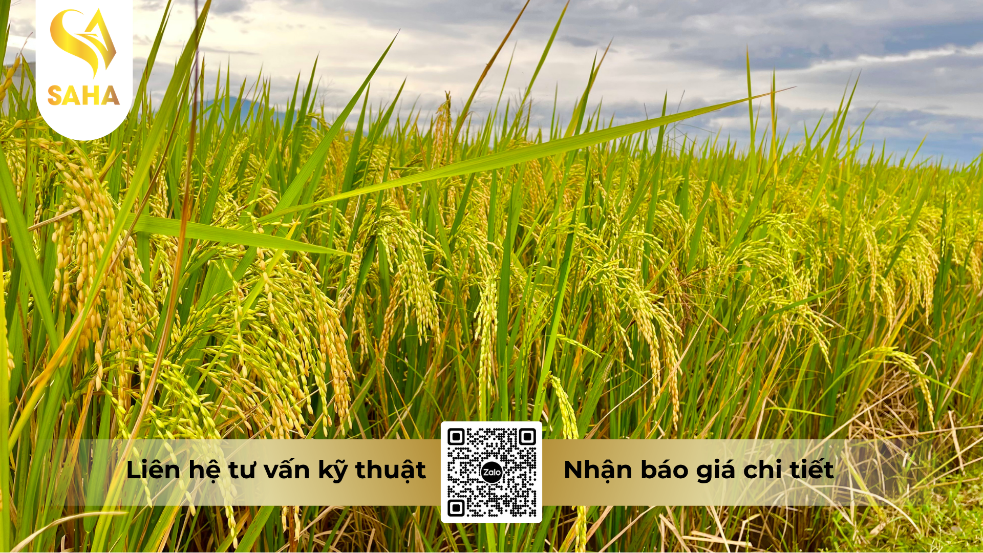 cau-hoi-thuong-gap.png