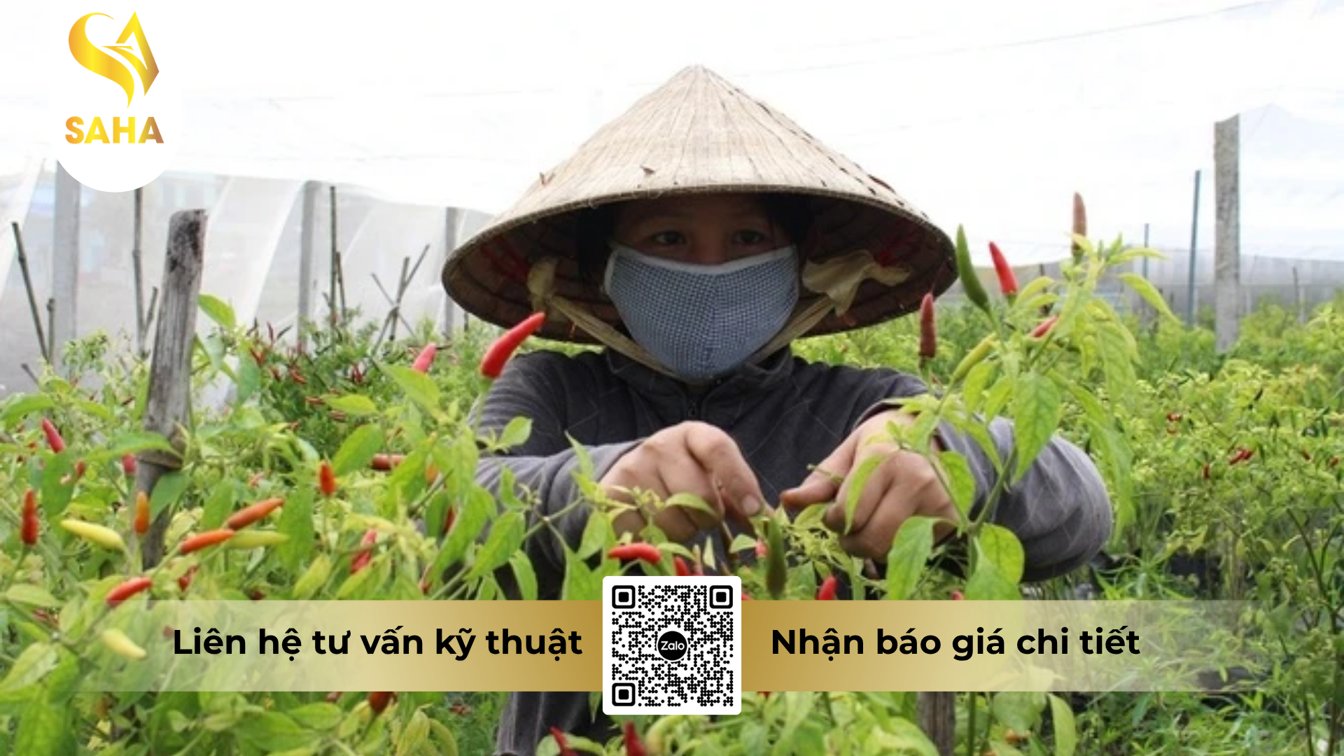 huong-dan-su-dung-thuoc-tru-benh-adu-flore-600wg-hieu-hamepy-600.png