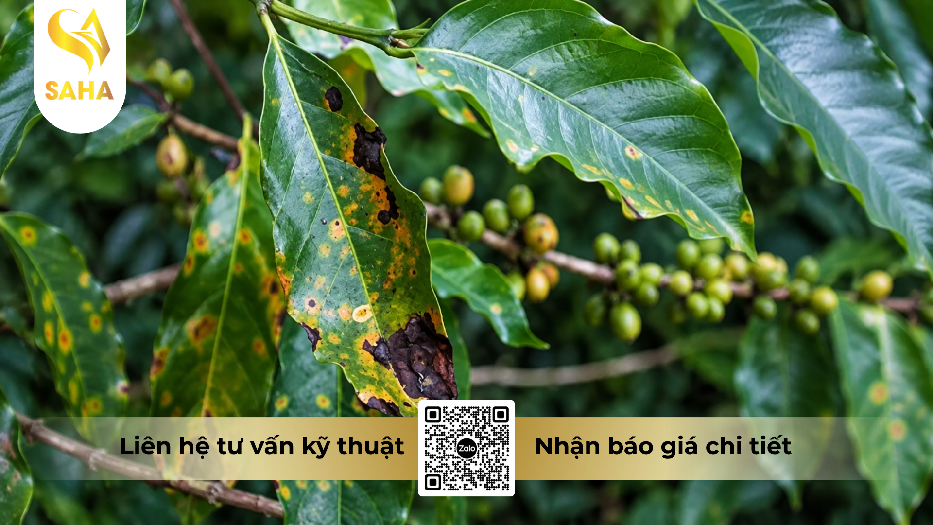 cong-dung-cua-thuoc-tru-benh-vt-manmet-58wp-1kg.png
