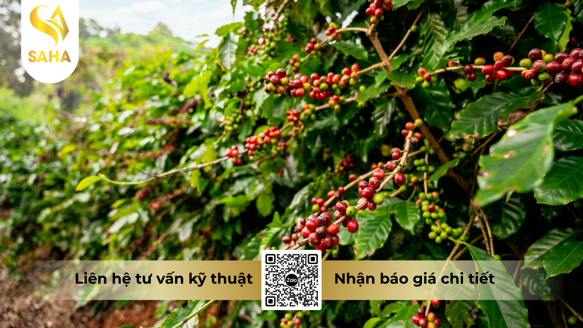 cau-hoi-thuong-gap.png
