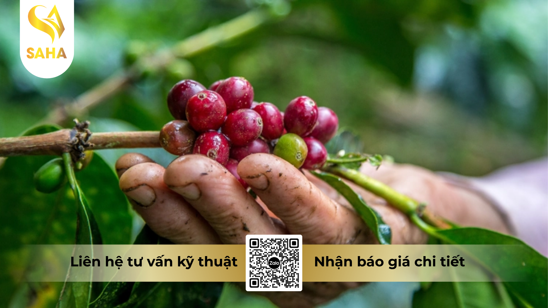 cong-dung-cua-thuoc-tru-benh-vt-manmet-58wp-500g.png