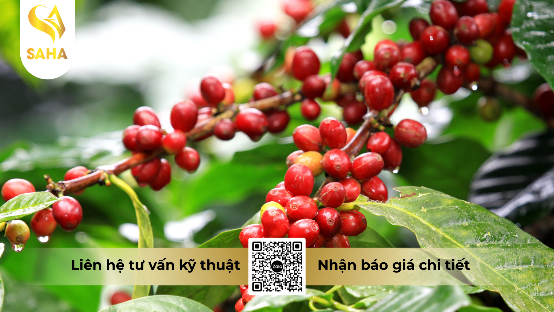 cau-hoi-thuong-gap.png