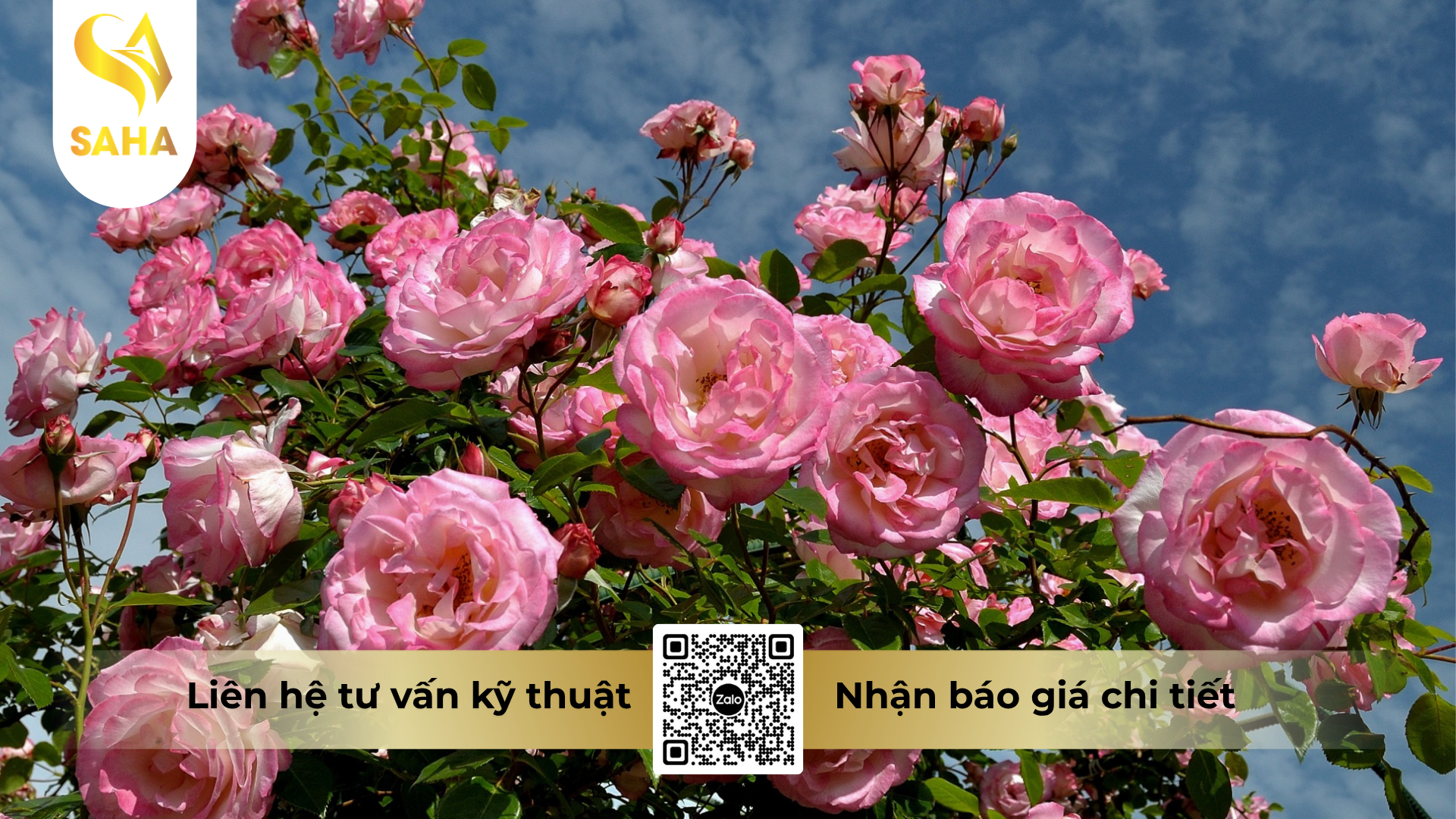 cau-hoi-thuong-gap.png