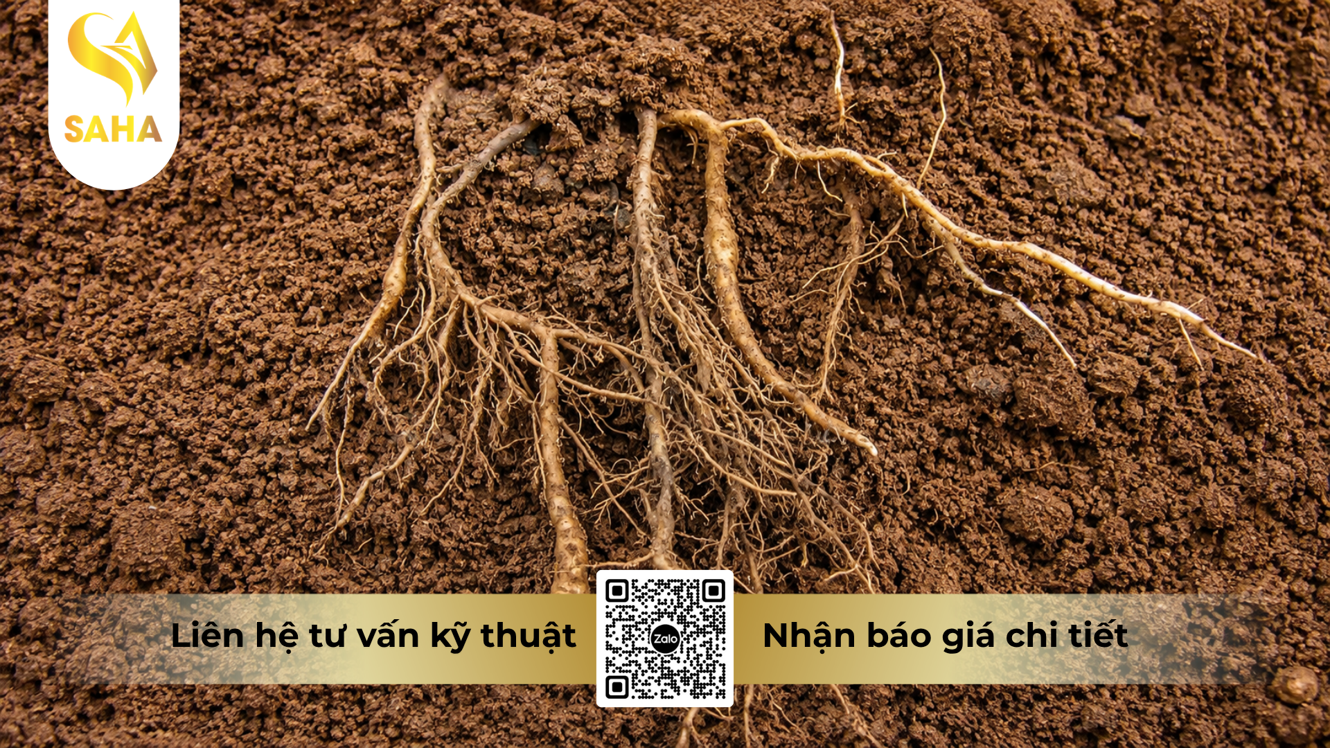 cong-dung-cua-thuoc-tru-benh-acodyl-35wp-hieu-matexylin-phytop-500.png
