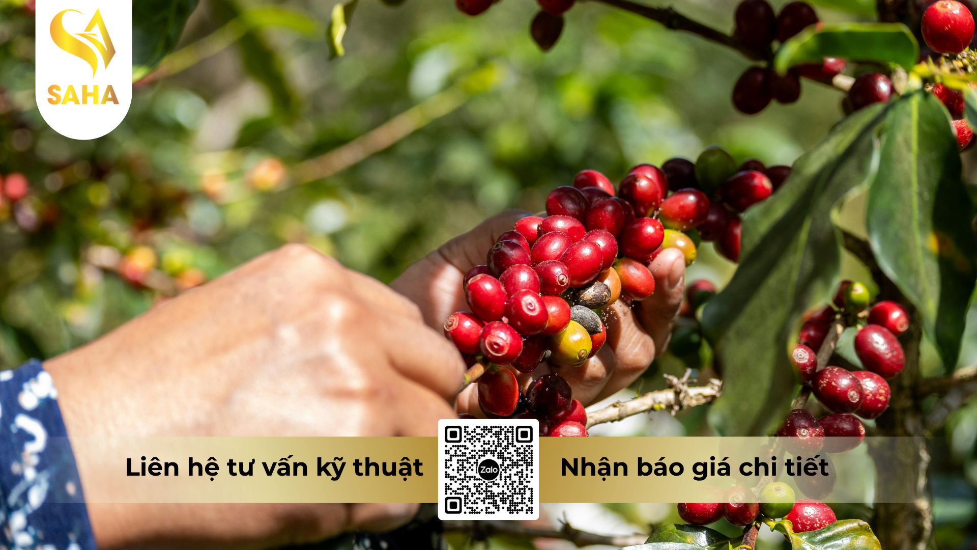 cau-hoi-thuong-gap.png