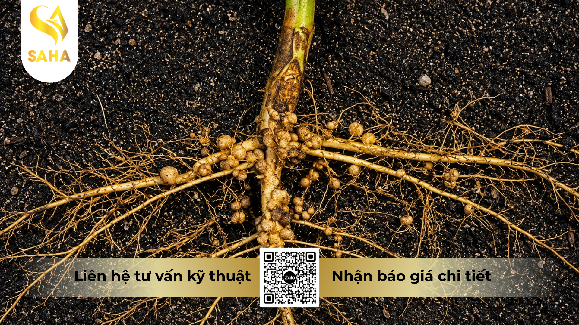 cong-dung-cua-thuoc-tru-benh-acodyl-35wp-meta-phytop-700.png