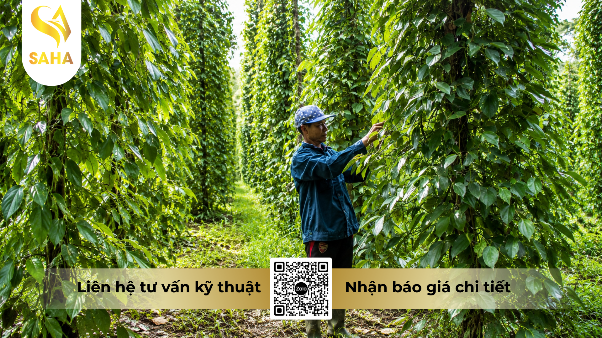 huong-dan-su-dung-thuoc-tru-benh-acodyl-35wp-meta-phytop-700.png