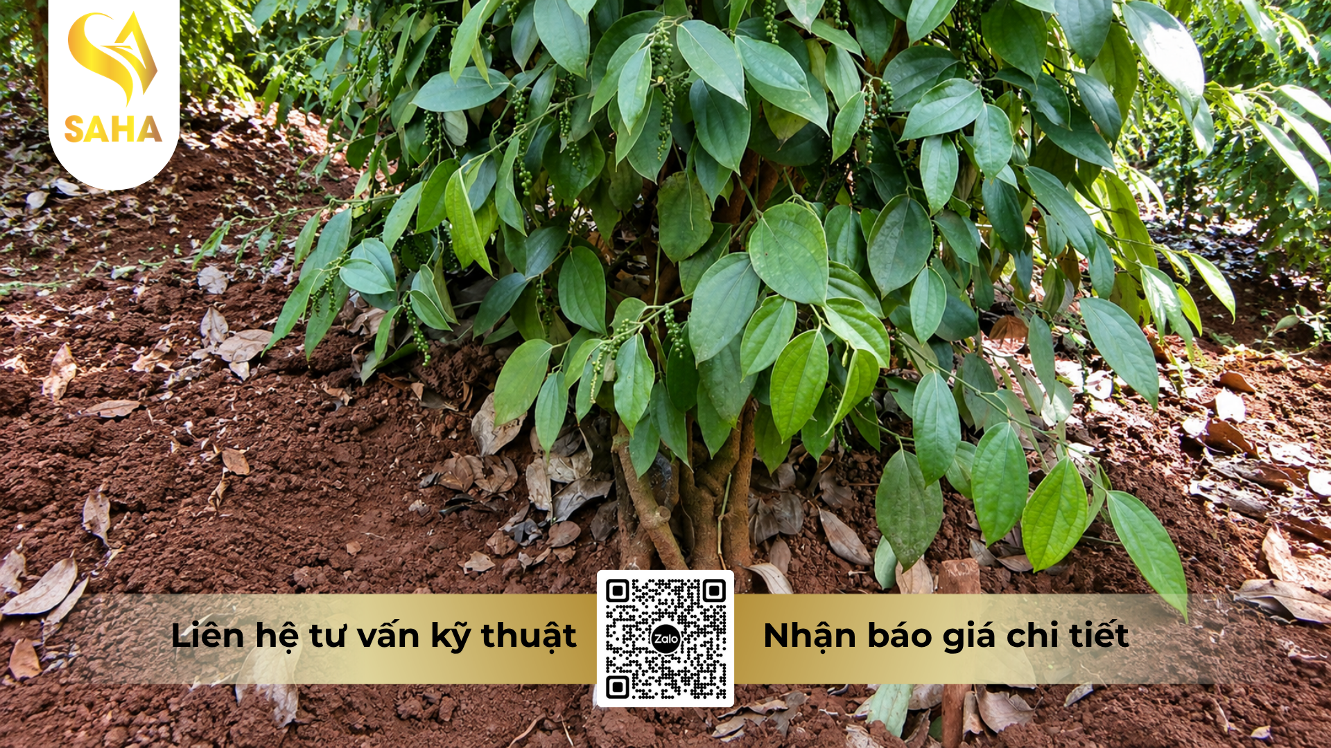 huong-dan-su-dung-thuoc-tru-benh-acodyl-35wp-metadyl-350.png
