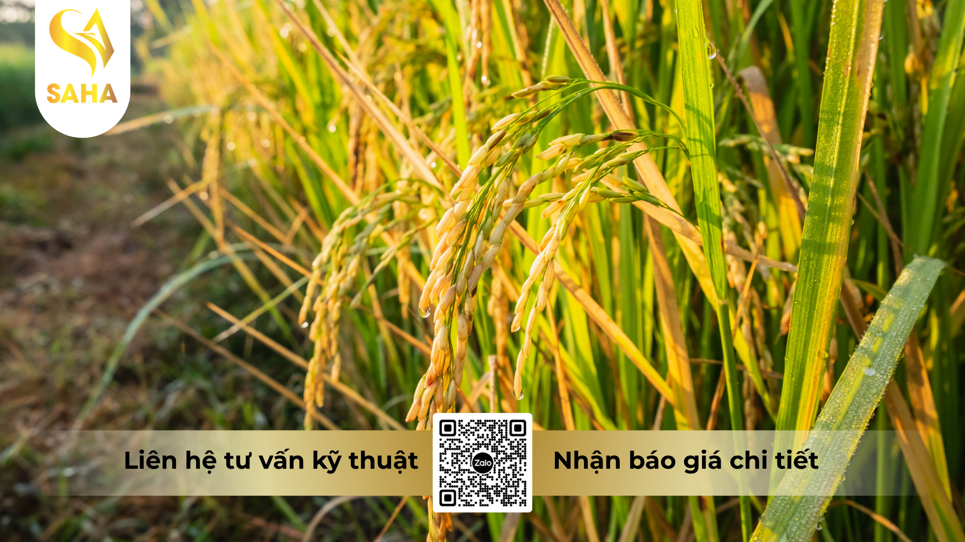 cau-hoi-thuong-gap-ve-thuoc-tru-benh-asusu-20wp-sankuzo-200.png