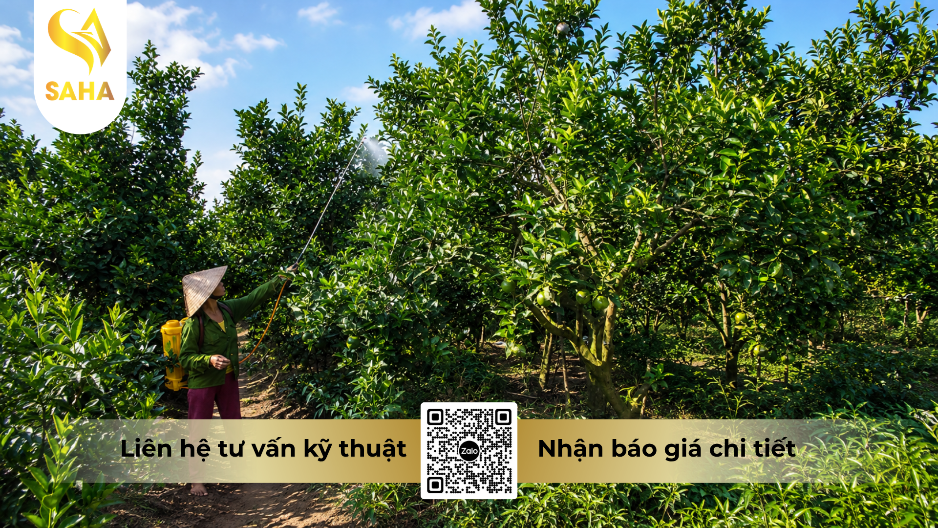 huong-dan-su-dung-thuoc-tru-sau-bacca-80wg-hieu-sansulfur-india-800-1kg.png