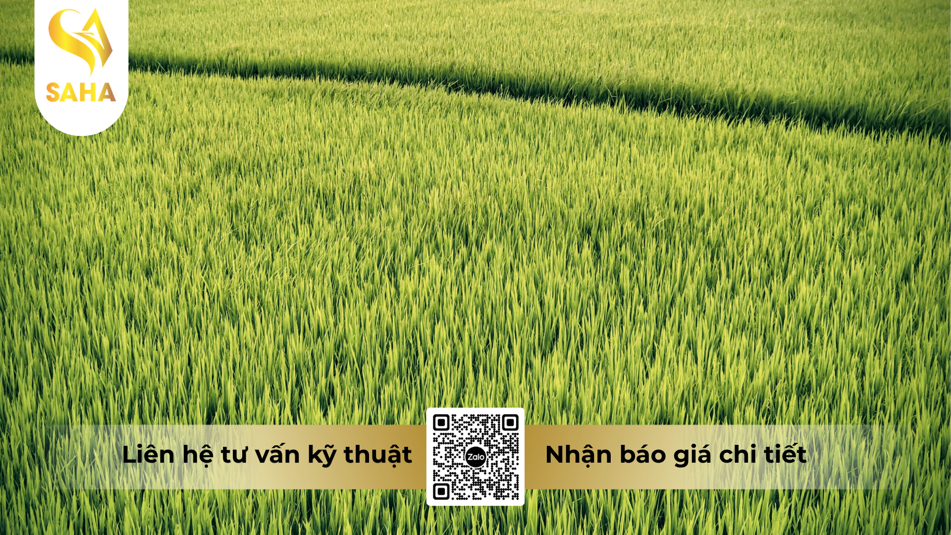 cau-hoi-thuong-gap-ve-thuoc-tru-benh-cyat-525wg-hieu-harivo-gold-750.png