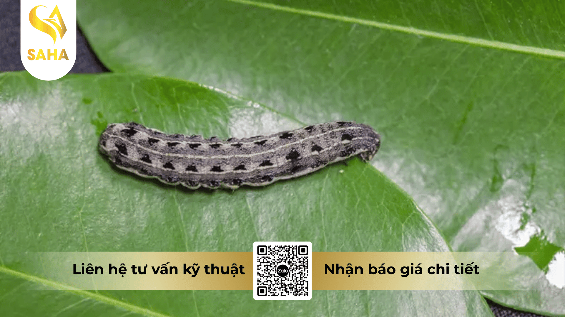 cau-hoi-thuong-gap.png