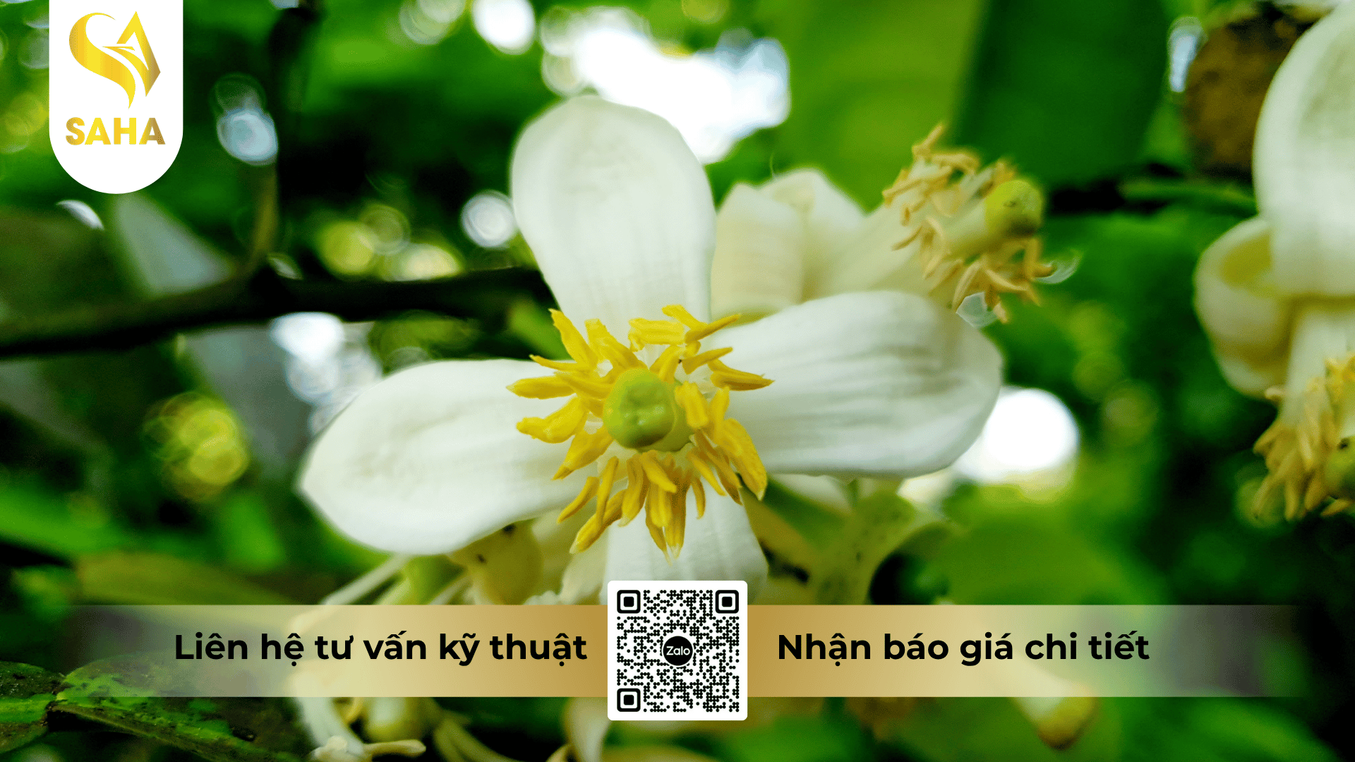 cau-hoi-thuong-gap.png