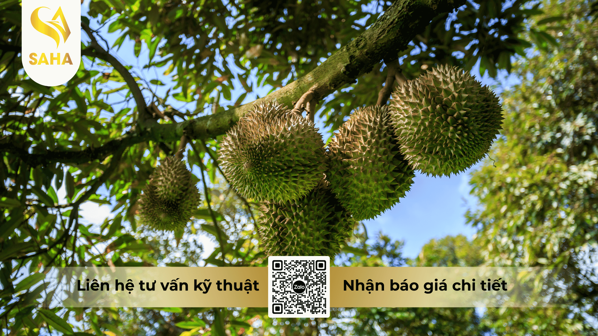 cong-dung-phan-bon-la-sam-pink-18-8-18-3mgo-te-hieu-18-8-18-3mgo-te.png