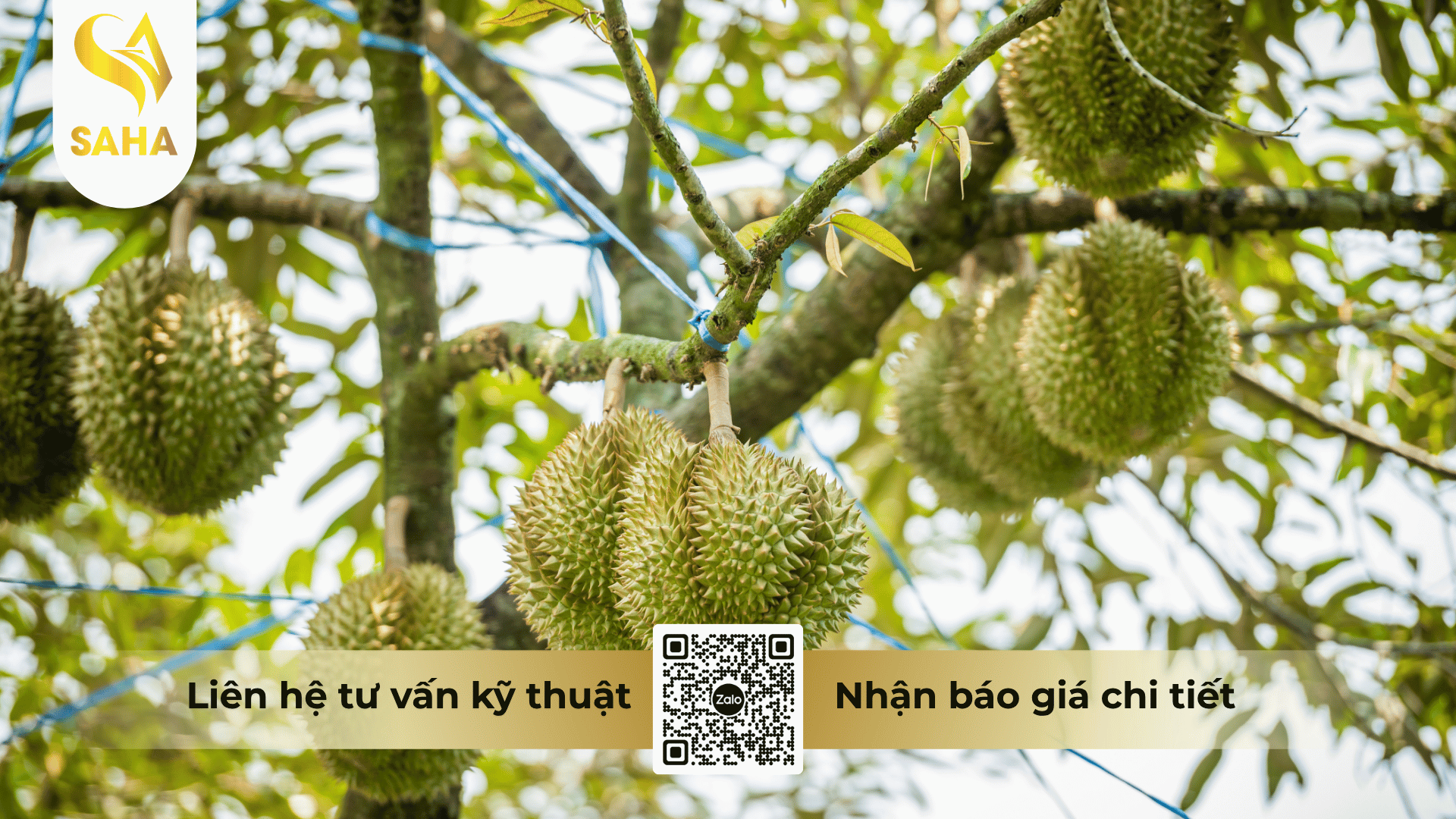 cau-hoi-thuong-gap.png