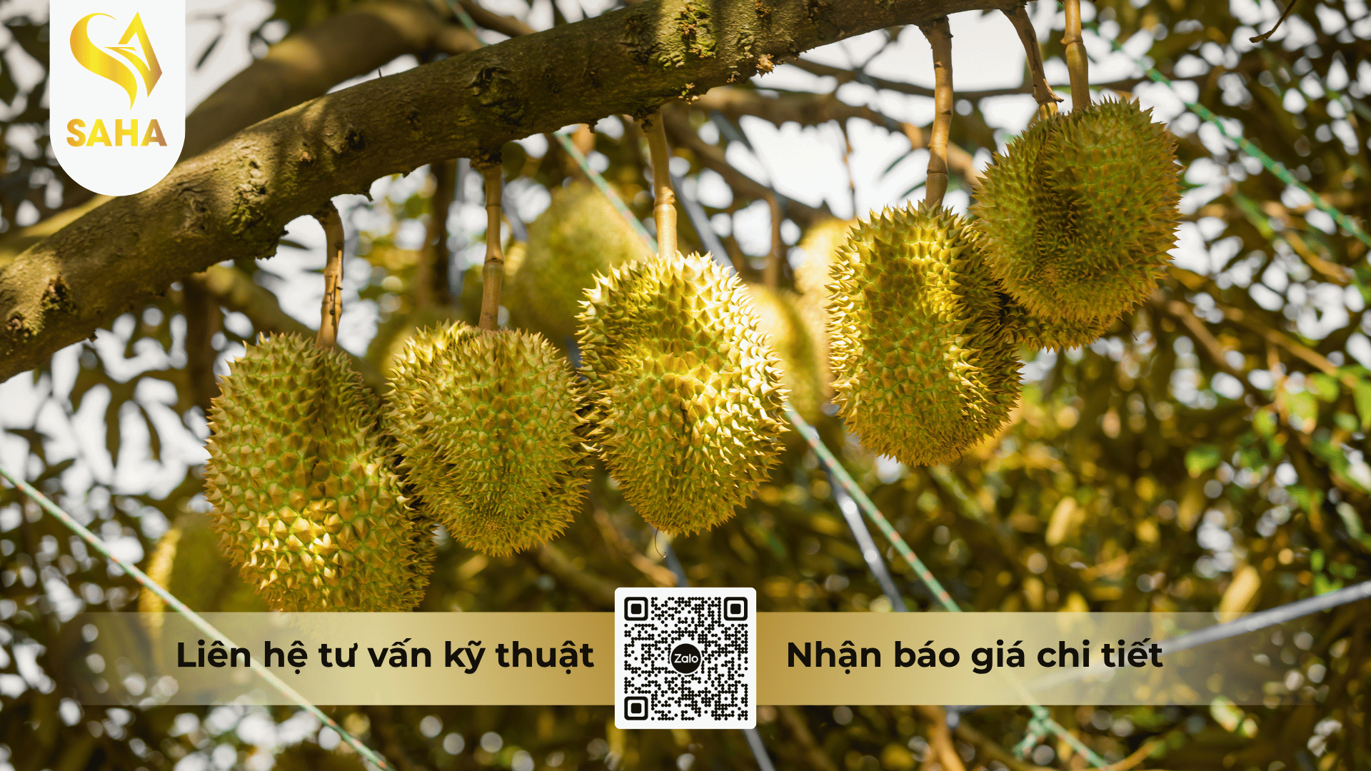 cau-hoi-thuong-gap.png