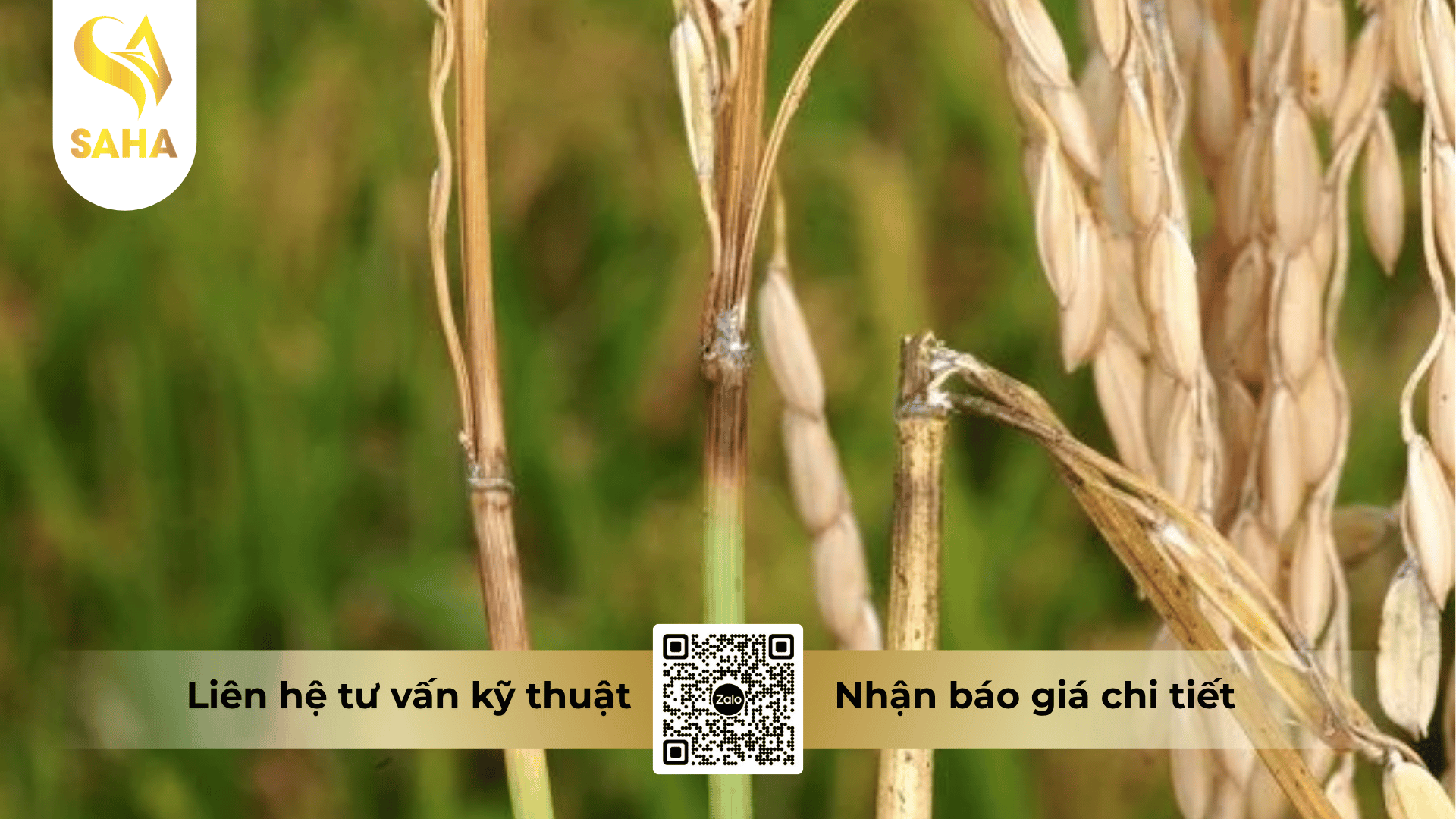 cong-dung-thuoc-tru-benh-fuan-40ec.png