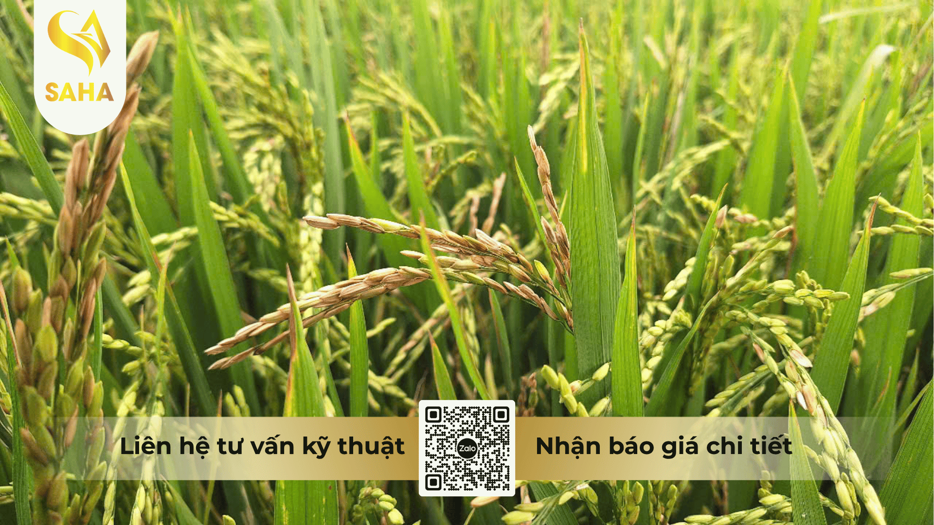 cong-dung-thuoc-tru-benh-ang-sachbenh-500wp.png