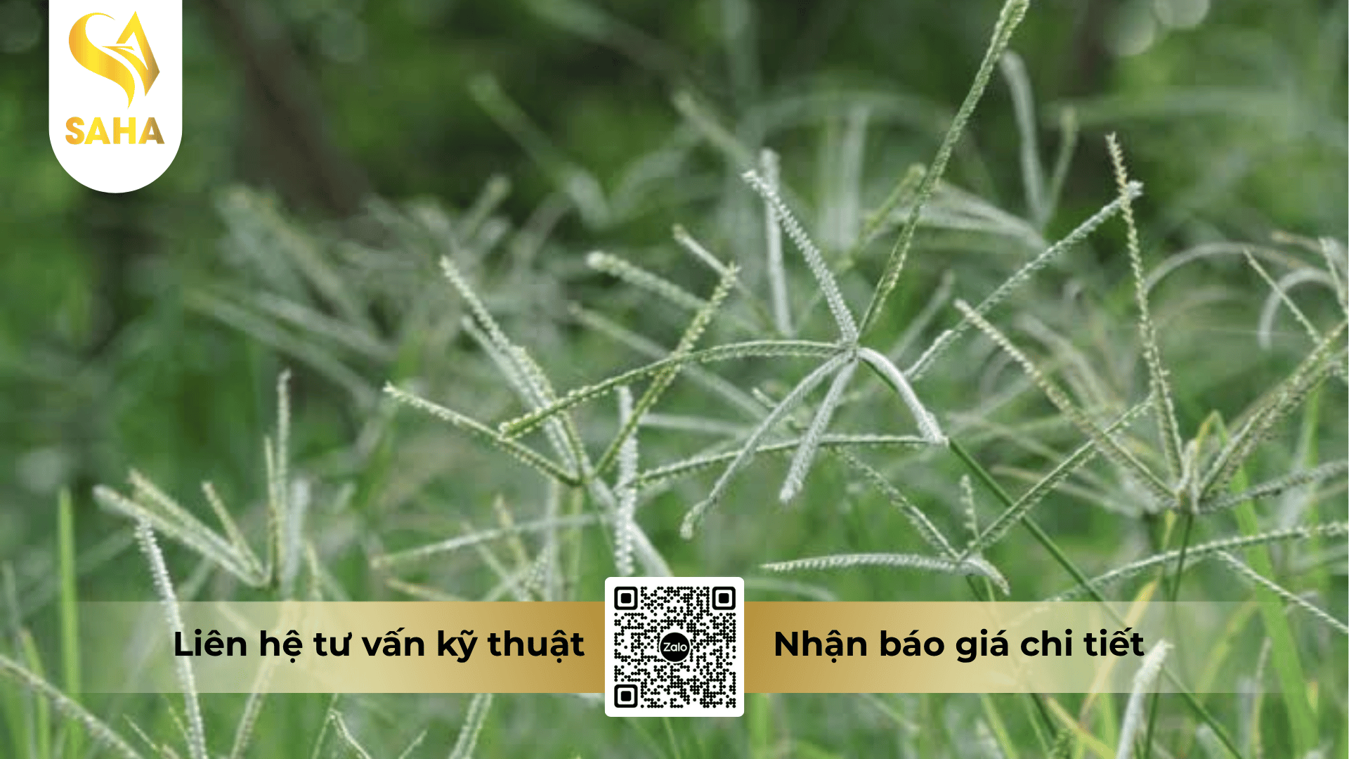 thong-tin-chung-thuoc-tru-co-ang-sachco-100ec.png