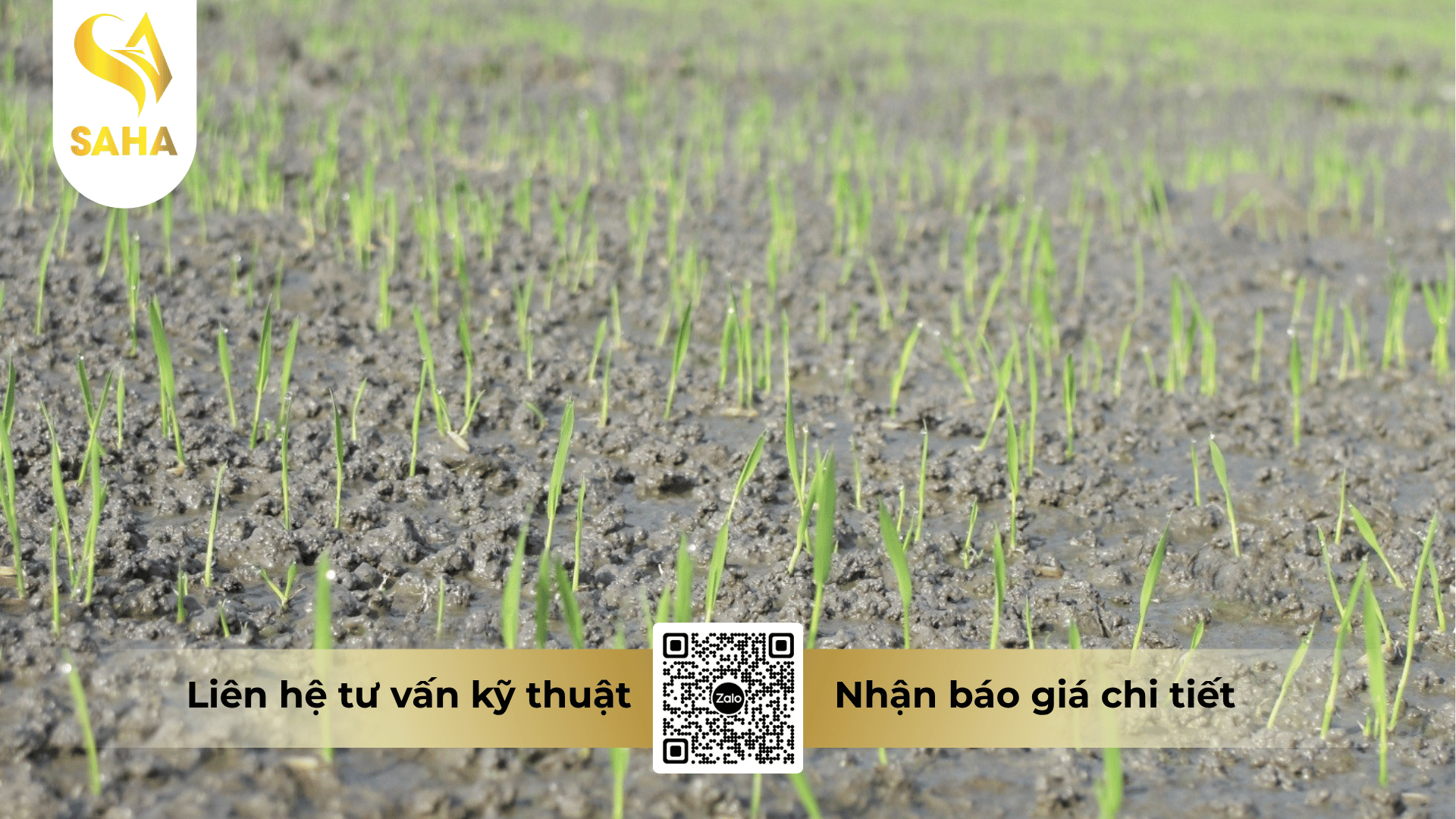 thong-tin-chung-thuoc-tru-co-ang-tieuco-300sc.png