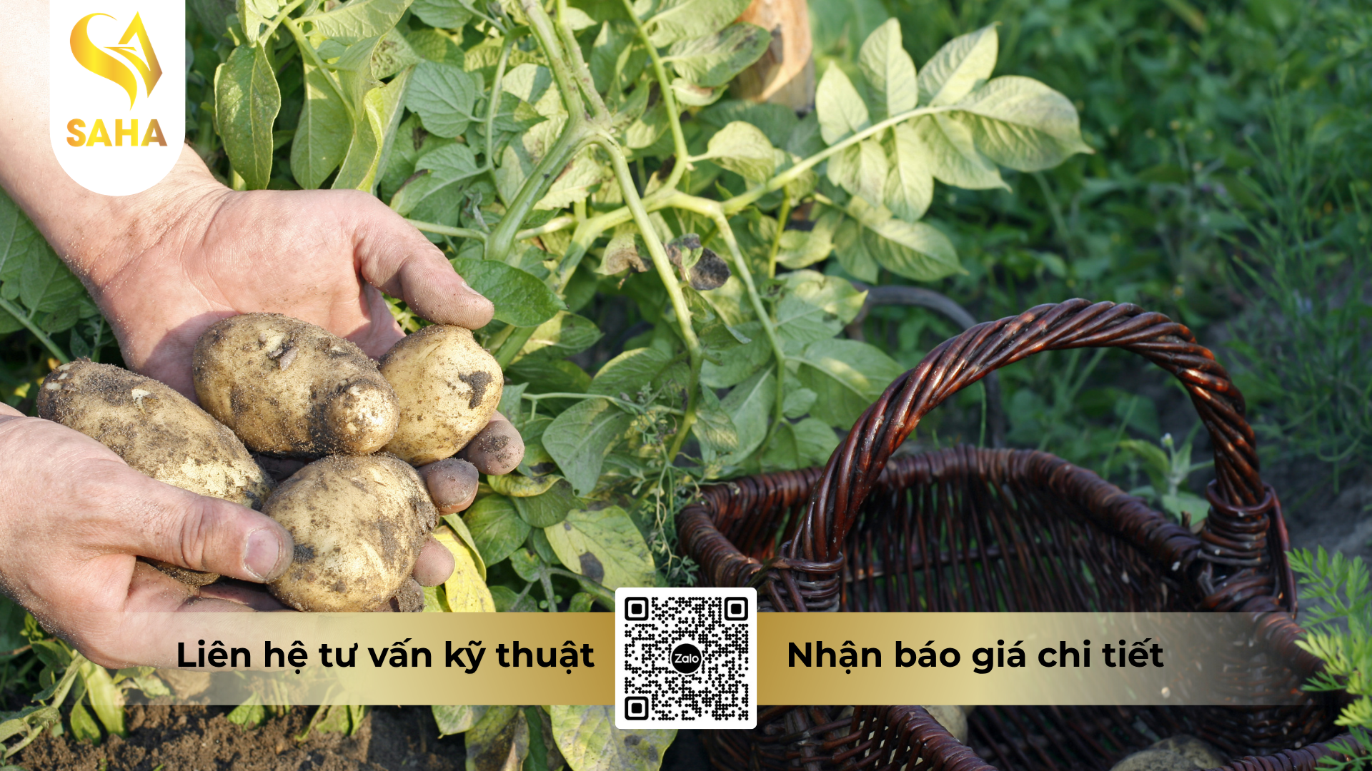 cau-hoi-thuong-gap-ve-thuoc-tru-benh-dirobin-30wg-hieu-azomorph-300.png