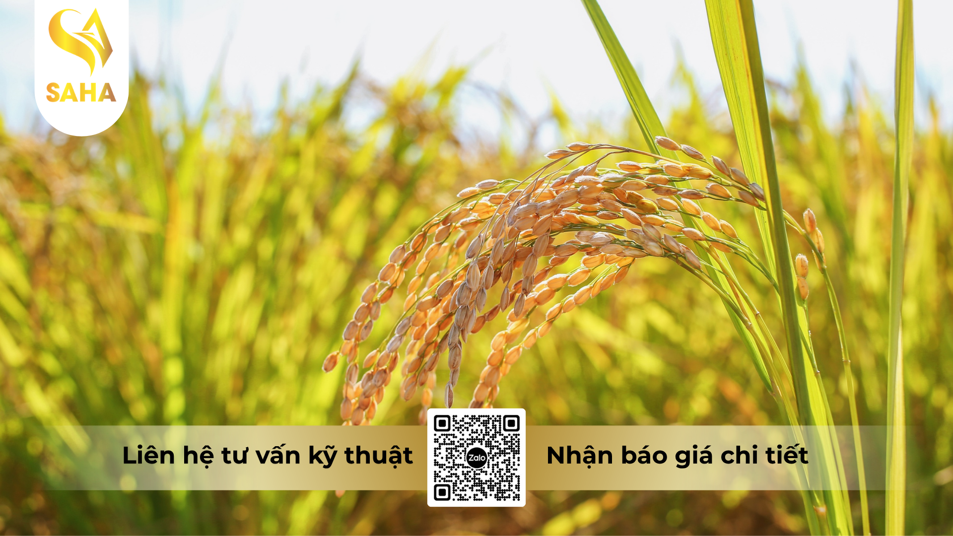 cau-hoi-thuong-gap-ve-thuoc-tru-benh-doroval-50wp-200gr.png