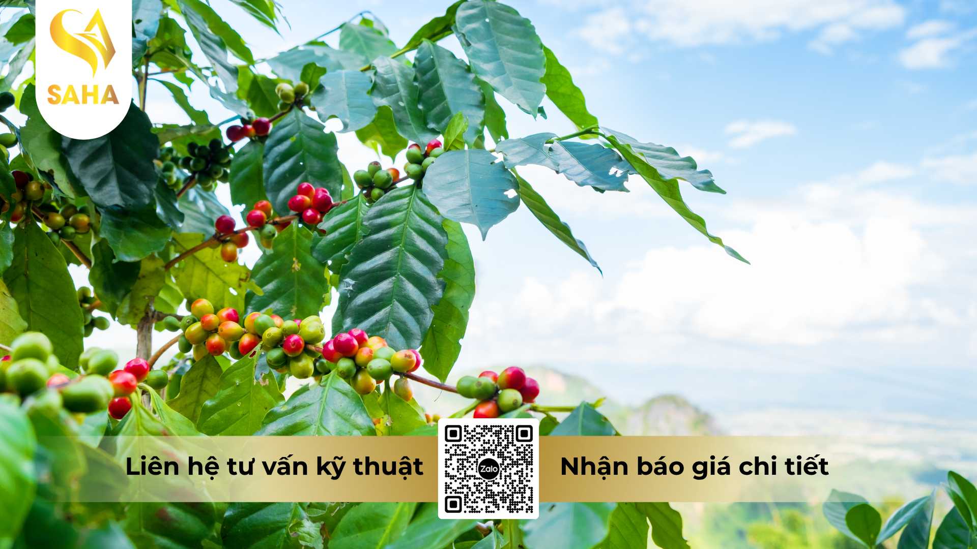 cau-hoi-thuong-gap-ve-thuoc-tru-benh-extra-gold-70wp-hieu-sanfungi-1kg.png