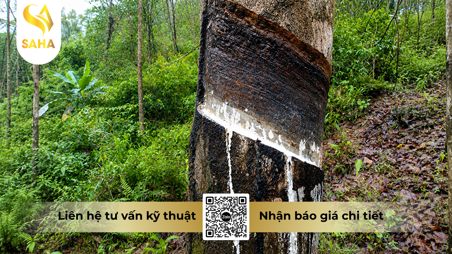 cong-dung-cua-thuoc-tru-benh-fortazeb-72wp-hieu-ha-ha-bul-72.png